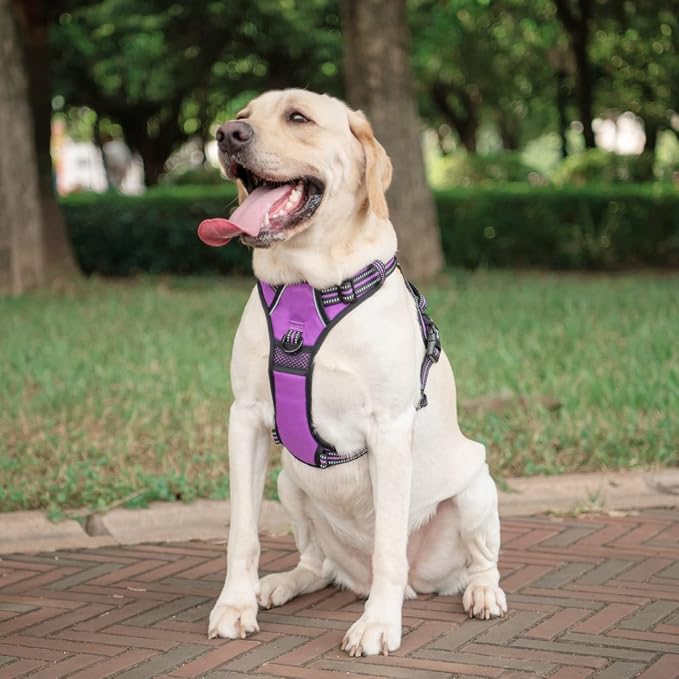PoyPet Dog Harness Medium, No Pull Vest with Front/Back Clip & Neck Buckle | No Choke, Lockable, Reflective, 2 Lead Rings, Adjustable, Soft Padded Handle for Training Walking, M, Purple - Image 3