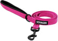 Best Pet Supplies Voyager Nylon Dog Leash - 6ft Fuchsia, Large | 6ft in Length, 1" in Width, Reflective, Soft Neoprene Handle, Heavy Duty Metal Clips for Running, Walking & Training by BestPetSuppliesLLC