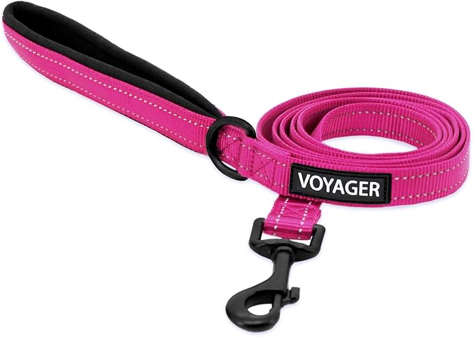 Best Pet Supplies Voyager Nylon Dog Leash - 6ft Fuchsia, Large | 6ft in Length, 1" in Width, Reflective, Soft Neoprene Handle, Heavy Duty Metal Clips for Running, Walking & Training by BestPetSuppliesLLC