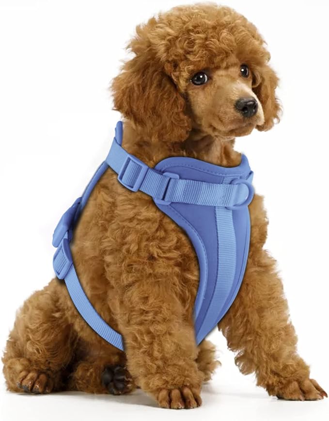 Wisedog No Pull Dog Harness, Blue, X-Small | Lightweight, Adjustable Breathable Pet Vest, Soft & Comfortable Cushion, Small Medium Large Dogs by WisedogPetSupplies