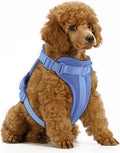 Wisedog No Pull Dog Harness, Blue, X-Small | Lightweight, Adjustable Breathable Pet Vest, Soft & Comfortable Cushion, Small Medium Large Dogs by WisedogPetSupplies