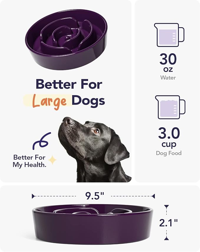 LE TAUCI Slow Feeder Dog Bowls Ceramic, 3 Cups Slow Feeding Dog Bowl Medium Large Breed, Pet Bowl for Fast Eaters, Puzzle Pet Dishes, Maze Purple - Image 5