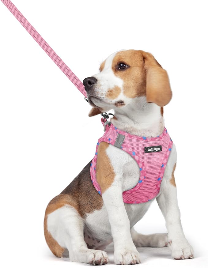rabbitgoo Dog Harness Medium Sized and Leash Set, Step-in Puppy Pet Vest | Light, Soft, Breathable Air Mesh, Easy on and Remove with Hook & Loop, Secure Reflective for Walking, Pink & Plaid Trim L by rabbitgoo