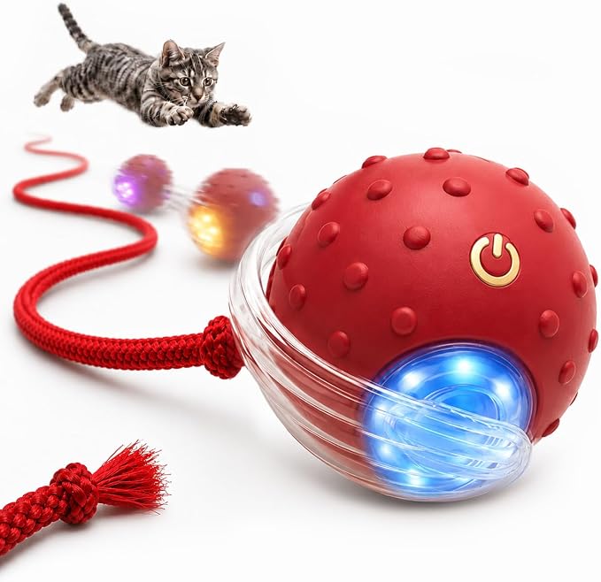 Interactive Rolling Cat Ball, Motion Activated Automatic Cat Toy | Smart Play, High Power, Anti-Stuck Rolling, Carpet & Hardwood, Chirping Sound, USB-C Rechargeable, 3 Modes, Durable by outdoll