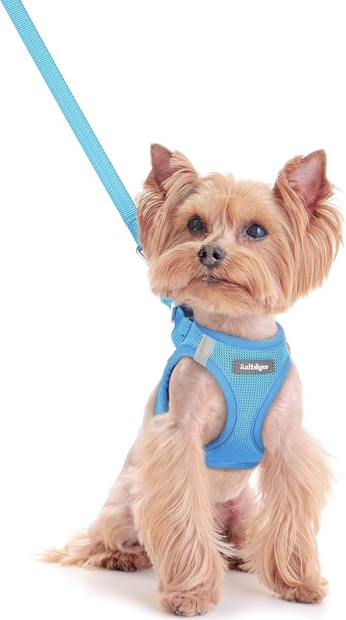 rabbitgoo Dog Harness Small Sized and Leash Set, Step-in Puppy Pet Vest | Light, Soft, Breathable Air Mesh, Easy on and Remove with Hook & Loop, Secure Reflective for Walking, Blue XXS by rabbitgoo