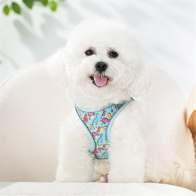 Step in Dog Harness No Pull Dinosaur Adjustable Soft Mesh Harness | Padded Reflective Pet Vest Harness and Leash Set for Small Medium Dogs - Image 5