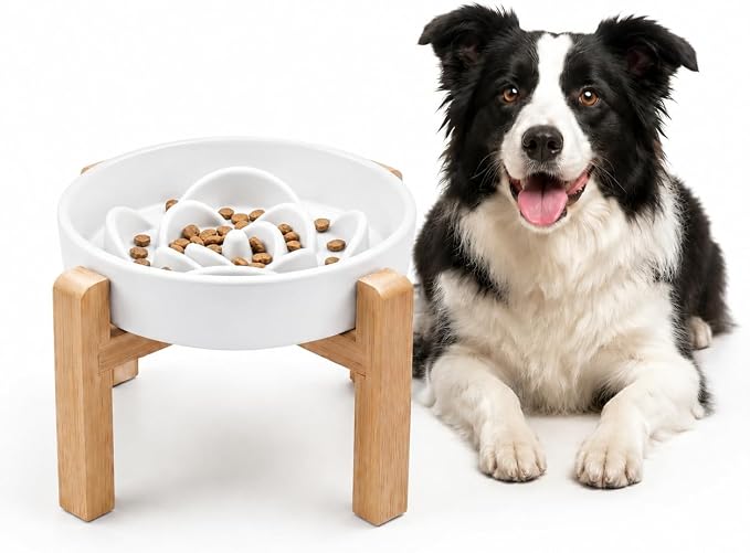Elevated Ceramic Slow Feeder Dog Bowls Anti-Choking Slow Feeding for Medium& Large Anti-Slip Non-Lead & Toxic Durable Easy to Clean Maze Slow Feeder Bowl（8.66in White Flower Pattern） by addggo