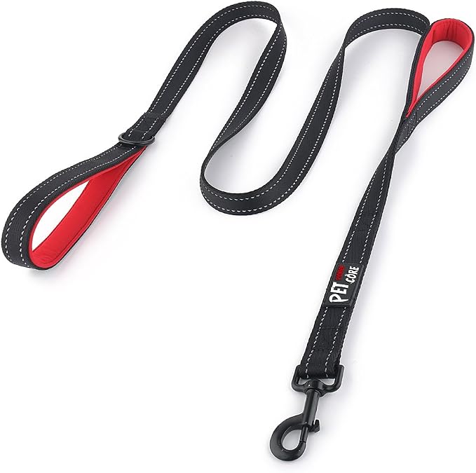 Plutus Pet Double Handle Dog Leash, 6 FT Long, for Medium Large Dogs | Reflective Nylon, Soft Padded 2 Handles, Heavy Duty for Training, Dual Handle Lead, 6 FT x 1”, Black by PLUTUSPET