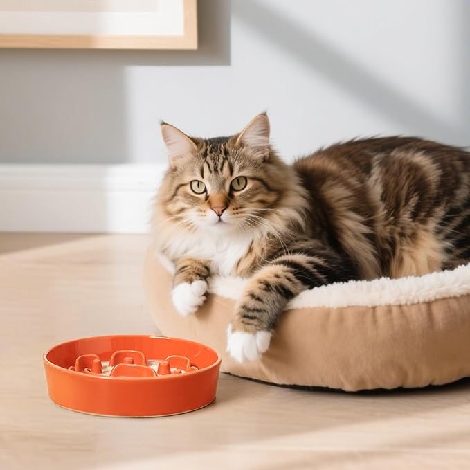 Ceramic Slow Feeder Dog Bowl, 0.8 Cups Anti -Slip Slow Feeding Bowl to Slow Down Eating, 6.3 Inch Dog Food Dish for Small Breeds, Orange - Image 7