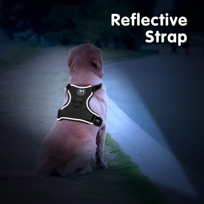 PoyPet Mesh Dog Harness, Reflective Breathable Puppy Vest for Small Dogs | Lightweight, Soft Air Mesh, Back D-ring, Adjustable, Comfortable, Double Padded, No Choke, for Daily Walking, XS, Black - Image 5