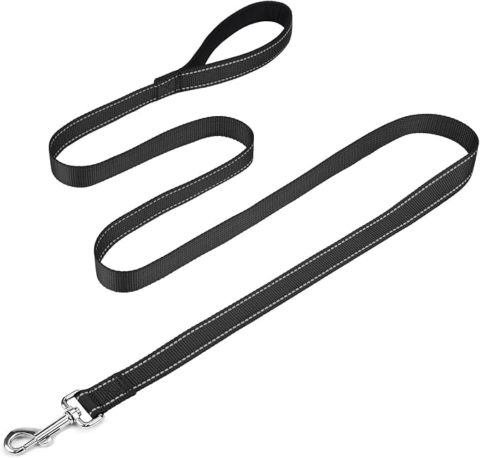 FunTags Reflective Nylon Dog Leash for Small & Medium Dogs, 6FT for Walks | Comfortable Padded Grip, Stay Safe at Night, 360° Anti-Tangle Swivel, for Dog Parks & Trails, Black by FUNSTARTSHERE
