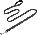 FunTags Reflective Nylon Dog Leash for Medium & Large Dogs, 6FT for Walks | Comfortable Padded Grip, Stay Safe at Night, 360° Anti-Tangle Swivel, for Dog Parks & Trails, Black by FUNSTARTSHERE