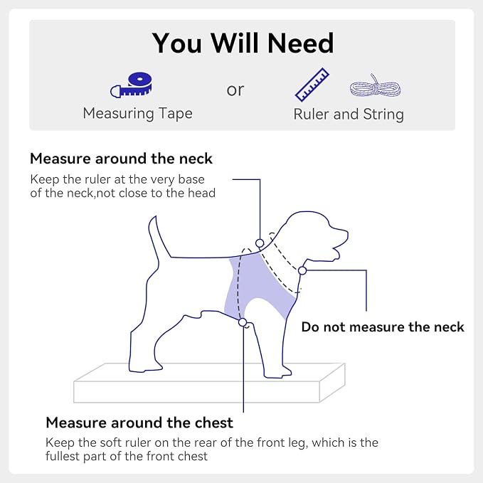 Joytale Step-in Dog Harness, Soft Breathable Mesh, Navy Blue XXXS | Adjustable Fit for Small Dogs, Easy Step-in with Secure Fastener, Even Chest Pressure, Reflective For Night Safety, Washable - Image 7