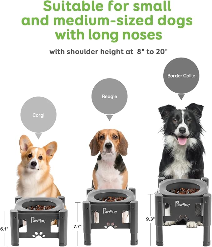 Pawque 35oz Elevated Slow Feeder Dog Food Bowls with Adjustable Stand | 3 Heights (6.1", 7.7", 9.3"), Raised Dog Bowls for Medium and Small Breed Dogs Cats, Non Slip Rubber & Mess Proof - Image 3
