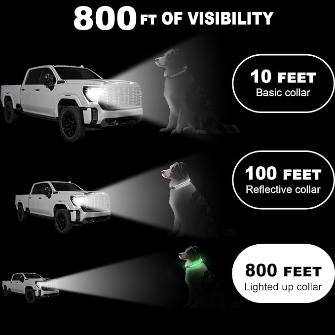 Light Up Dog Collar, 2026 Long-Lasting Power LED Dog Collar Lights for Night Walking, Rechargeable & Adjustable, Waterproof & Safety Glowing Collars for Small Medium and Large Dogs [Green-S] - Image 5