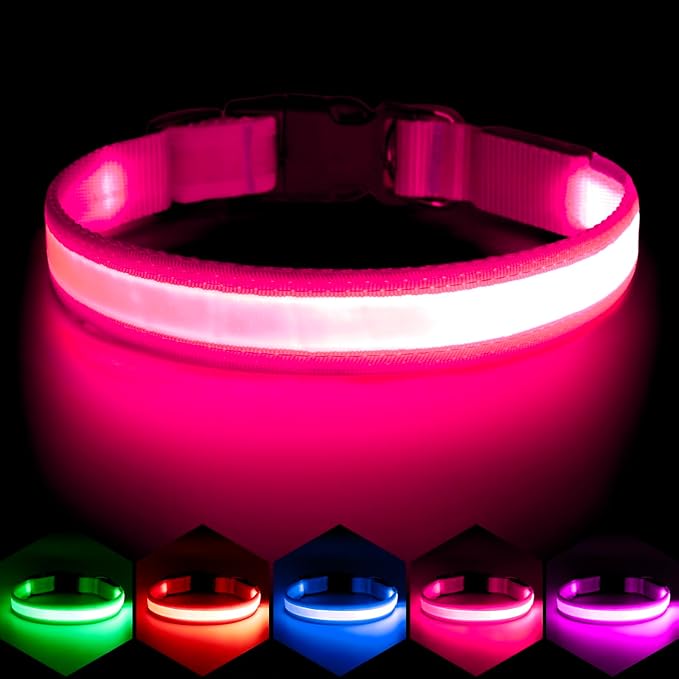 VIZPET LED Dog Collar, Light up Dog Collar Adjustable Safety Glowing Collar | USB Rechargeable Super Bright Light Collars for Dogs(Medium, Pink) by VIZPET