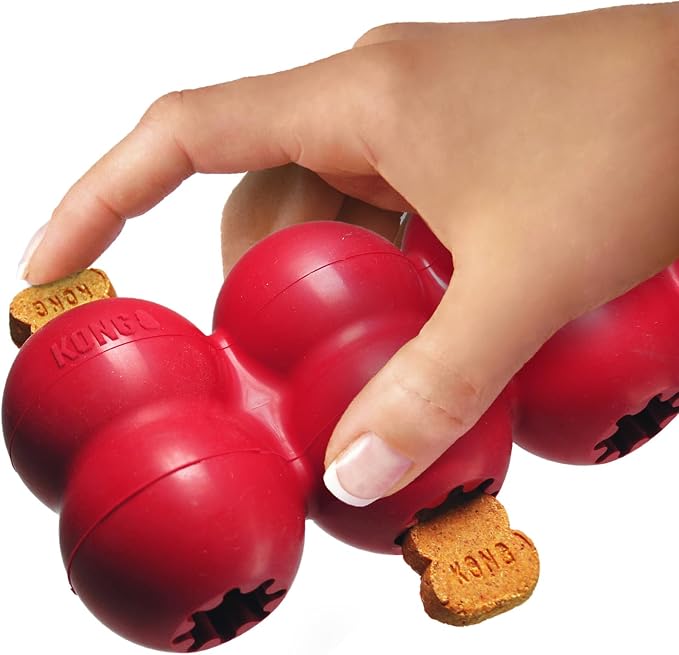 KONG Goodie Ribbon, Stuffable Natural Rubber Dog Toy, for Small Dogs | Stuffable Bone-Shaped Rubber Toy with Four Fillable Goodie Grippers for Fun, Treat-Based Enrichment Play - Image 5