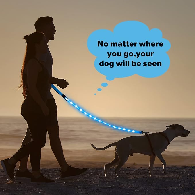 Illumifun LED Dog Leash, USB Rechargeable Glowing LED Lead, 4 FT Nylon Light Up Leashes for Dogs Wlaking at Night (BlueⅡ) - Image 6