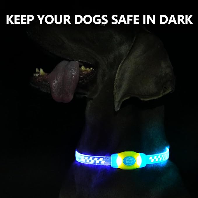 LaRoo LED Light Up Dog Collar, Multi-Color Glowing Safety Pet Collar, Rechargeable Night Visibility Collar, Pet Safety Collar Makes Your Beloved Dogs Be Seen at Night for Small Medium Dogs(Blue) - Image 4