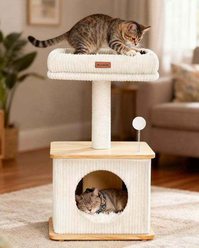 Small Cat Tree for Indoor Kittens, 30" Compact Modern Cat Tower | Natural Bamboo Cozy Condo, Soft Padded Perch, Sisal Scratching Post, Dangling Ball Toy, Stable Base, for Cats up to 15 lbs - Image 7