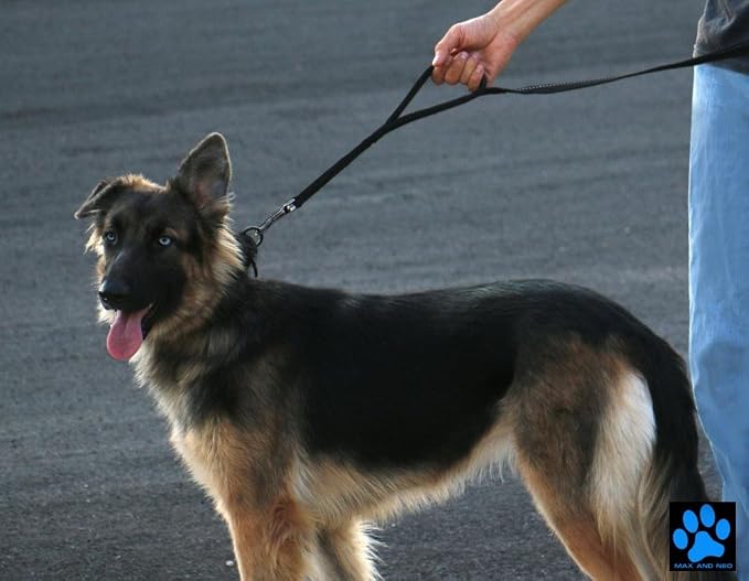 Max and Neo Double Handle Traffic Dog Leash - Reflective, Donates to Dog Rescue (Black, 6 FT) - Image 3