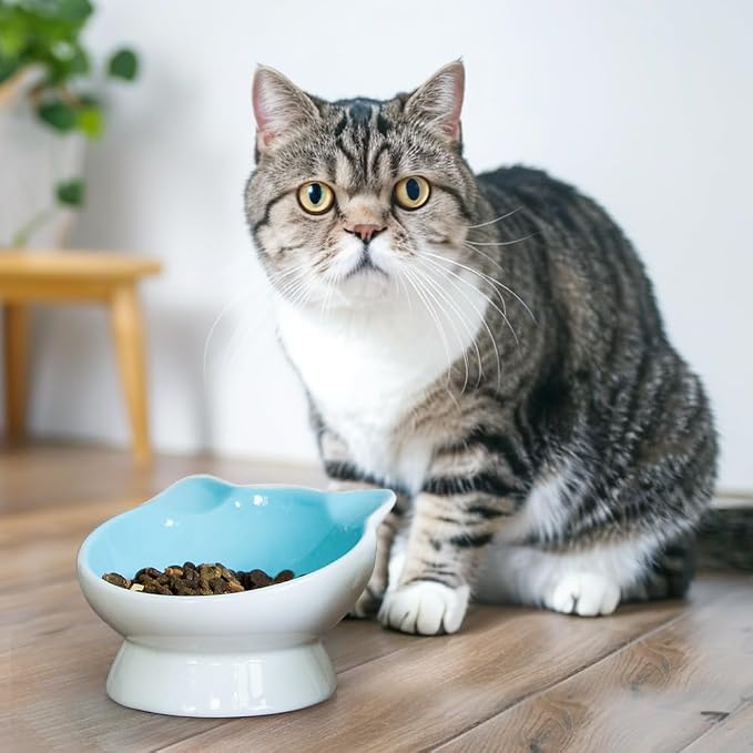 Raised Ceramic Cat Food Bowl - 15 Tilted, Spine Protection, Anti-Vomiting, Backflow Prevention for Adult Cats, Kittens, and Small Dogs (Blue Face) - Image 6