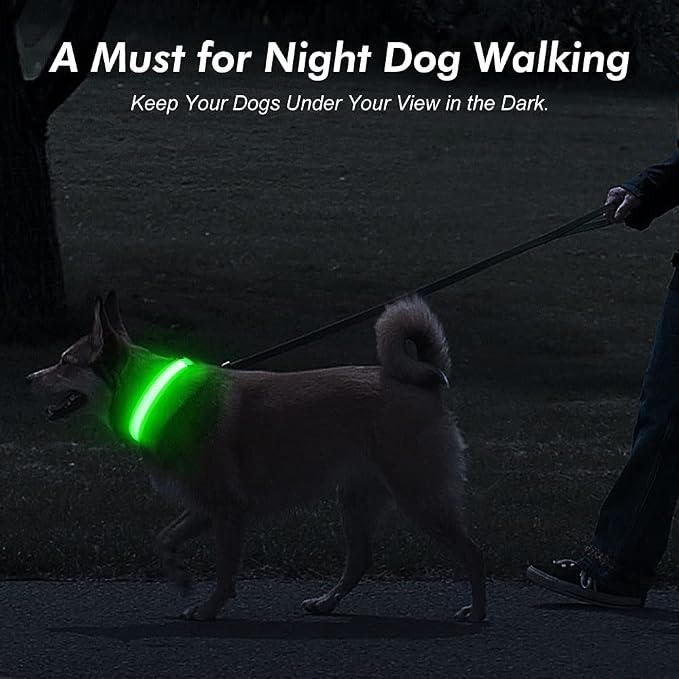 Illumifun LED Dog Collar, USB Rechargeable Light Up Dog Collar Glow in the Dark (Green, Medium) - Image 6