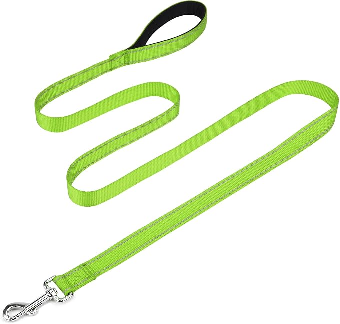 FunTags Reflective Nylon Dog Leash for Small & Medium Dogs, 6FT for Walks | Comfortable Padded Grip, Stay Safe at Night, 360° Anti-Tangle Swivel, for Dog Parks & Trails, Green by FUNSTARTSHERE