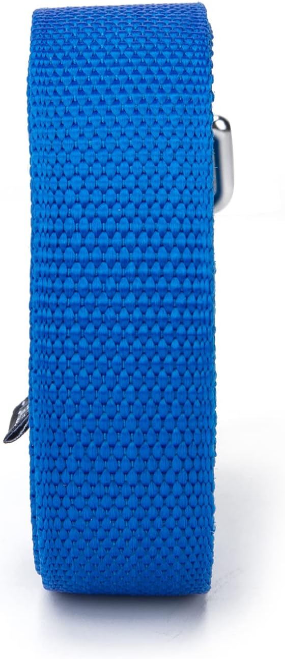 Strong Durable Nylon Dog Training Leash, 1 Inch Wide Traction Rope, 6 ft 10ft 15ft Long, for Small and Medium Dog (Blue, 10 Feet) - Image 9