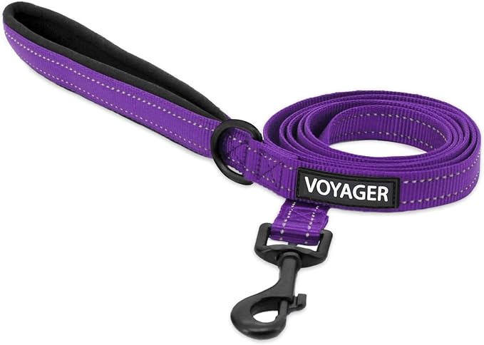 Best Pet Supplies Voyager Nylon Dog Leash - Purple, Medium | 5ft in Length, 3/4" in Width, Reflective, Soft Neoprene Handle, Heavy Duty Metal Clips for Running, Walking & Training by BestPetSuppliesLLC