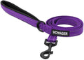 Best Pet Supplies Voyager Nylon Dog Leash - Purple, Medium | 5ft in Length, 3/4" in Width, Reflective, Soft Neoprene Handle, Heavy Duty Metal Clips for Running, Walking & Training by BestPetSuppliesLLC
