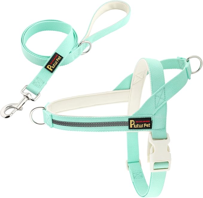 Plutus Pet Cotton Dog Harness and Leash Set, Reflective and Soft Padded, Quick Fit Vest Harness, for Small, Medium and Large Dogs, Light Cyan, S by PLUTUSPET