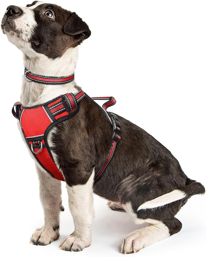 Dog Harness No Pull, Pet Harnesses with Dog Collar, Adjustable Reflective Oxford Outdoor Vest, Front/Back Leash Clips for Small, Medium, Large, Extra Large Dogs, Easy Control Handle for Walking by WINSEE