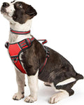 Dog Harness No Pull, Pet Harnesses with Dog Collar, Adjustable Reflective Oxford Outdoor Vest, Front/Back Leash Clips for Small, Medium, Large, Extra Large Dogs, Easy Control Handle for Walking by WINSEE