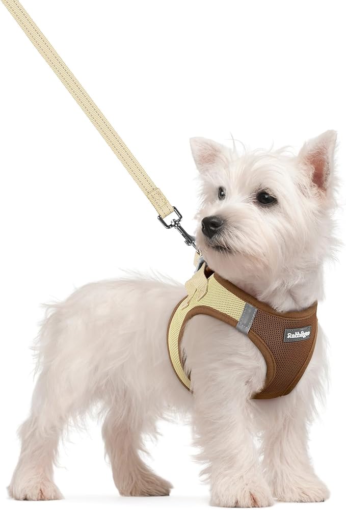 rabbitgoo Dog Harness Small Sized and Leash Set, Step-in Puppy Pet Vest | Light, Soft, Breathable Air Mesh, Easy on and Remove with Hook & Loop, Secure Reflective for Walking, Brown & Beige S by rabbitgoo