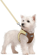 rabbitgoo Dog Harness Small Sized and Leash Set, Step-in Puppy Pet Vest | Light, Soft, Breathable Air Mesh, Easy on and Remove with Hook & Loop, Secure Reflective for Walking, Brown & Beige S by rabbitgoo