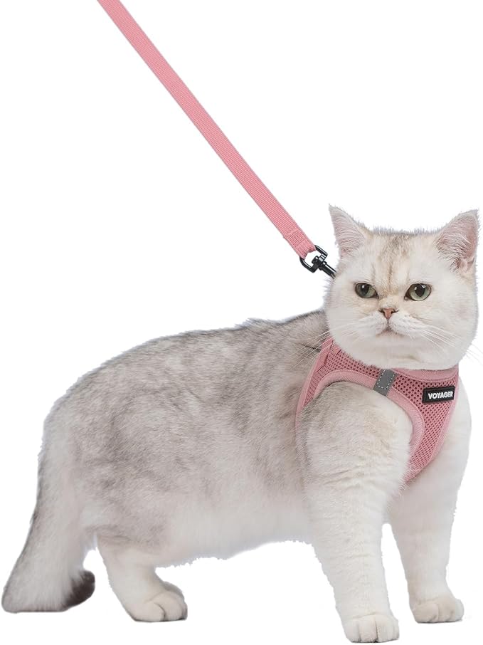 Voyager Step-in Air Cat Harness & Leash Set - Pink, XXXS | 11 - 12" in Chest, Reflective Bands, All Weather Breathable Air Mesh, Cats Compatible, Fast Drying - Image 2