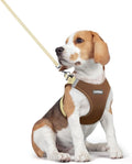 rabbitgoo Dog Harness Medium Sized and Leash Set, Step-in Puppy Pet Vest | Light, Soft, Breathable Air Mesh, Easy on and Remove with Hook & Loop, Secure Reflective for Walking, Brown & Beige L by rabbitgoo