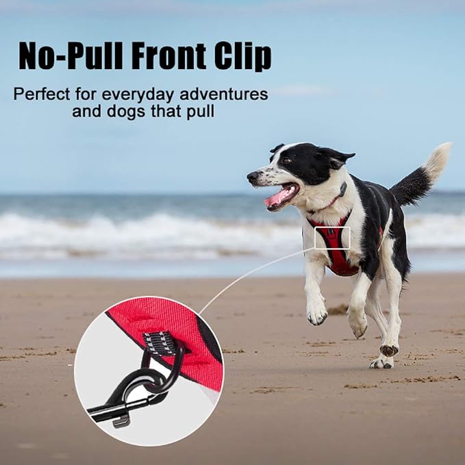 PoyPet No Pull Dog Harness Medium, Reflective Vest with Front Clip & Handle | Easy On/Off, No Choke, Adjustable, 2 Leash D-rings, Soft Padded, Breathable, Oxford, for Walking Training, M, Red - Image 2
