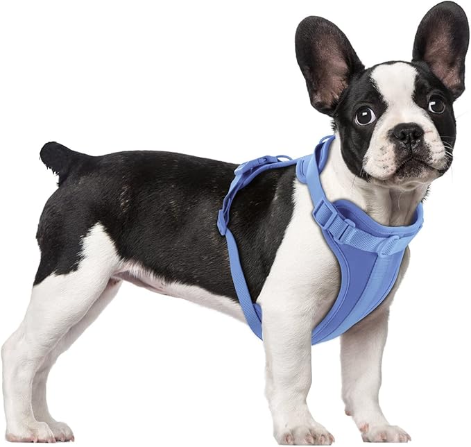 Wisedog Lightweight No Pull Dog Harness, Blue, Medium | Air Mesh, 3 Clips, Adjustable, No Choke Design, Ideal for Walking Training by WisedogPetSupplies