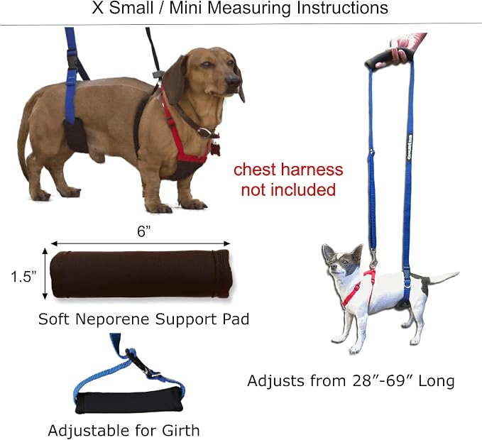 Dog Back Support IVDD Sling Harness, X-Small & Dachshunds | Fits Pets Under 25 lbs and Doxies, Walking Aid for K9s with Disc Disease, Fully Adjustable, Chest Harness NOT Included - Image 3