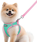 rabbitgoo Dog Harness Small Sized and Leash Set, Step in Soft Vest | Breathable Mesh, Easy Wear with Hook & Loop, Light and Reflective for Walking, Multi-colored, Teal & Pink, M by rabbitgoo