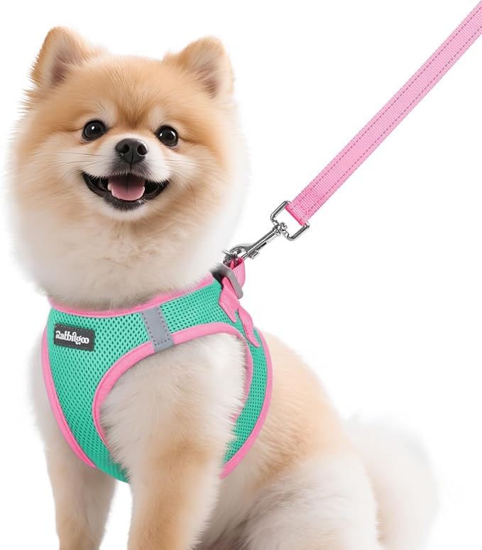 rabbitgoo Dog Harness Small Sized and Leash Set, Step in Soft Vest | Breathable Mesh, Easy Wear with Hook & Loop, Light and Reflective for Walking, Multi-colored, Teal & Pink, M by rabbitgoo