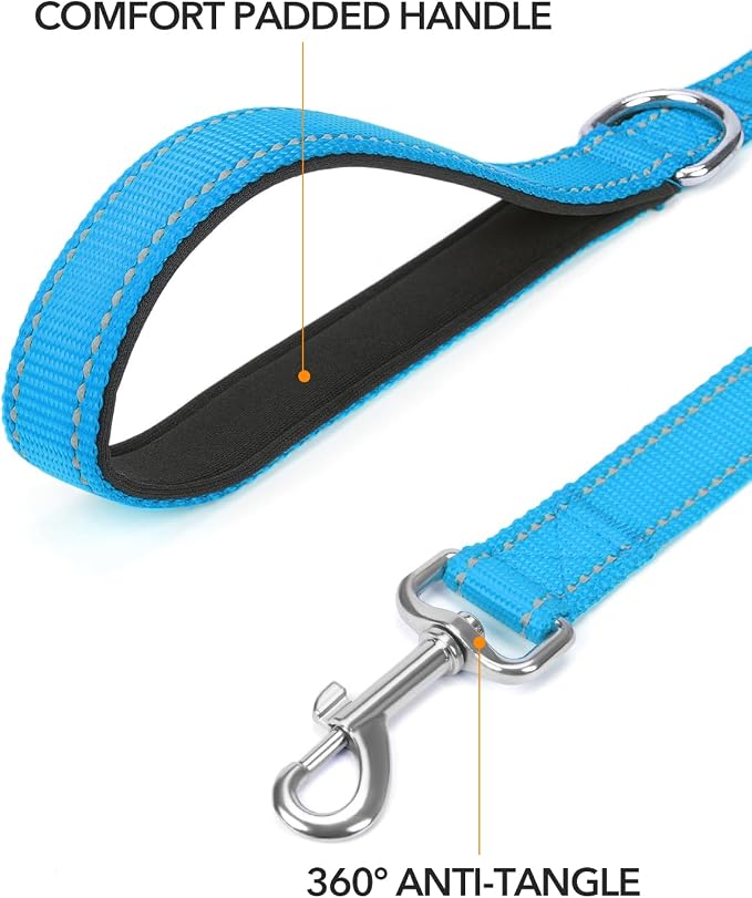 Taglory Reflective Dog Leash for Medium Large Dogs, 1in x 5ft, Sky Blue | Ideal for Night Walking, Strong for Sudden Pulls, Lightweight & Gentle on the Neck, Soft Padded Handle - Image 2