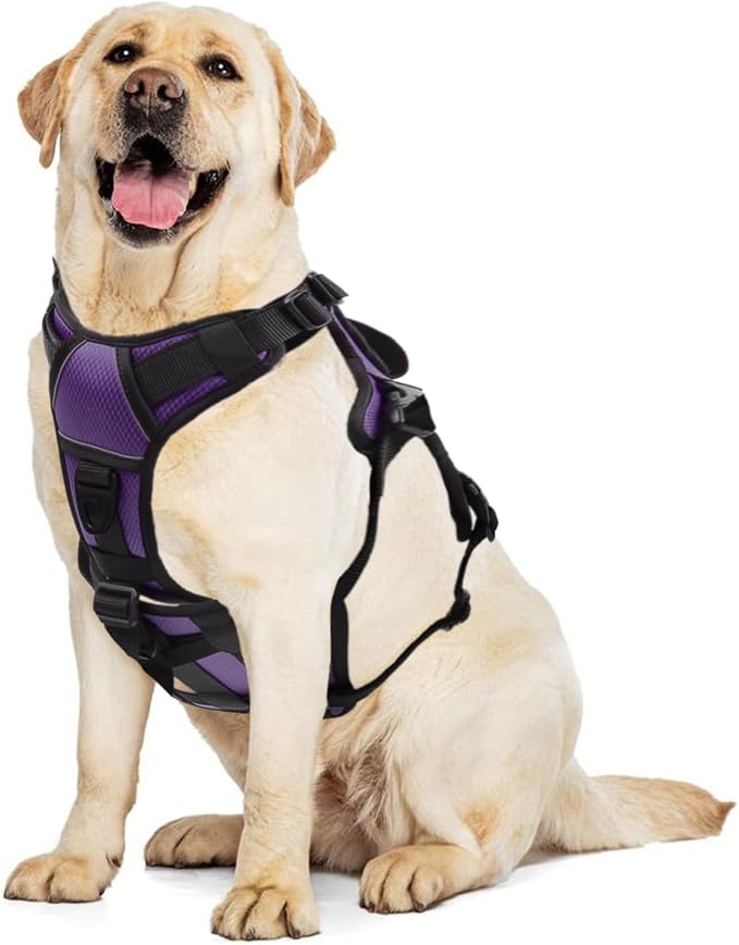 AUROTH Escape Proof No Pull Dog Harness - Soft Padded Reflective Adjustable Vest with Lift Handle - Medium Size - Image 9