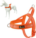 Plutus Pet No Pull Dog Harness for Medium Sized Dog, Breathable Mesh Padded | Adjustable Reflective with Handle, Escape Proof, Quick Fit Pet Vest, Front Clip, for Training and Walking, Orange, M by PLUTUSPET