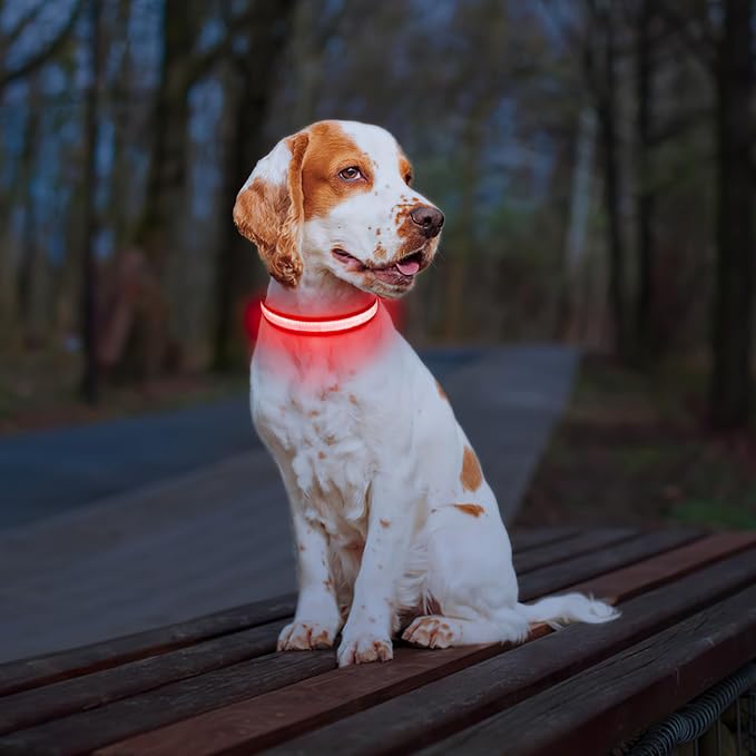 PcEoTllar Light up Dog Collar, Safe for Night Walking, Adjustable, Red, L | Colorful RGB Light, Waterproof, For Small Medium and Large Dogs, Durable Material, USB to Charge - Image 6