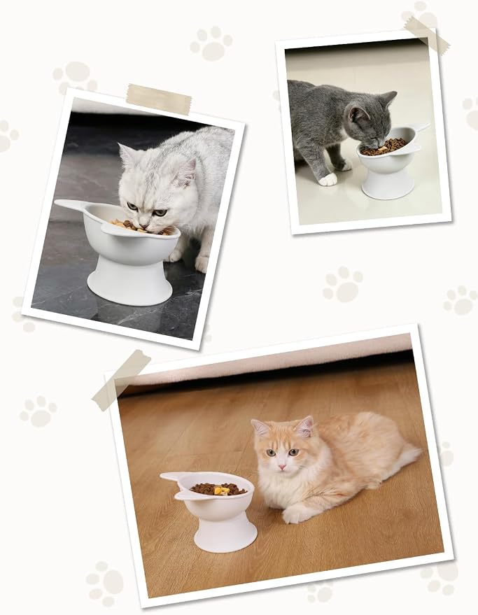YINEYA Cat Bowls, Cat Food Bowl Elevated to Protect Neck & Anti-Vomit, Whisker-Friendly Raised Food & Water Bowls for Indoor Cats/Small Dogs, Cute Pet Feeding Bowl 6 OZ Each, Dishwasher Safe, White - Image 8