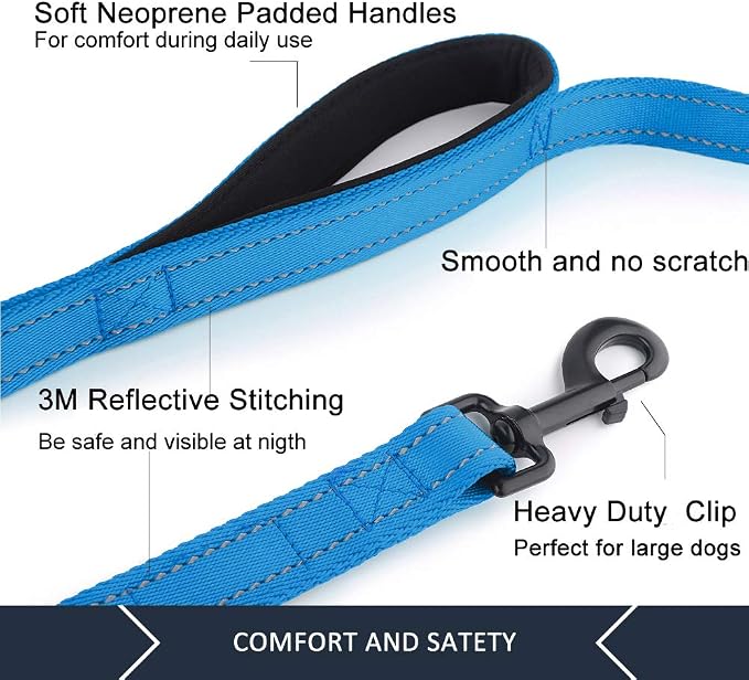Plutus Pet Double Handle Dog Leash, 6 FT Long, for Medium Large Dogs | Reflective Nylon, Soft Padded 2 Handles, Heavy Duty for Training, Dual Handle Lead, 6 FT x 1”, Light Blue - Image 4