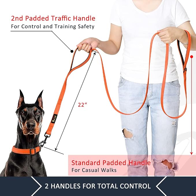 Plutus Pet Double Handle Dog Leash, 6 FT Long, for Medium Large Dogs | Reflective Nylon, Soft Padded 2 Handles, Heavy Duty for Training, Dual Handle Lead, 6 FT x 1”, Orange - Image 2